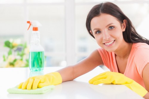Professional Croydon cleaners starting a thorough home cleaning service