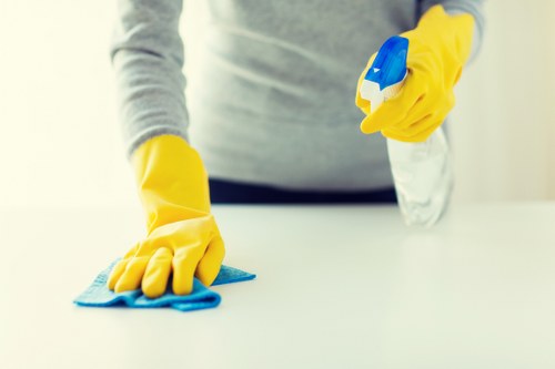 Professional deep cleaning in a home focusing on bathroom sanitizing