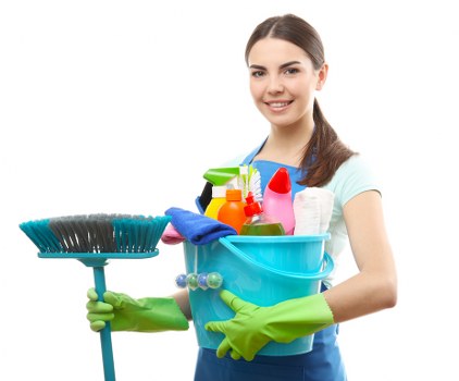 Professional carpet cleaning in a bright living room