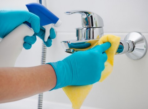 Professional-style sofa cleaning tools and supplies