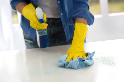 Bathroom surfaces being cleaned during move-out cleaning