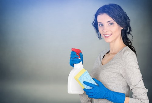 Domestic cleaning supplies arranged for home care